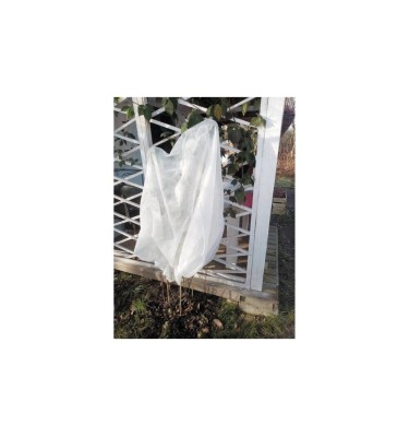 Kaptur ochronny dla roślin